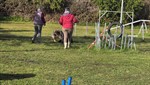 20260405_094111