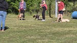 20260426_093852