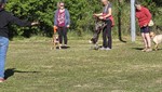 20260426_093858