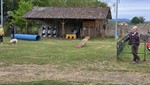 20260503_095603