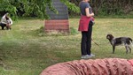 20260503_095620