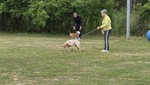 20260503_095627