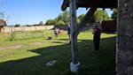20260524_093815