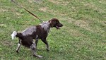 20260531_094039(0)