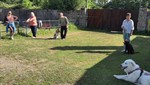 20260607_094238