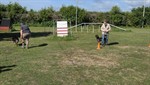 20260607_094249