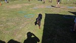 20260614_094234