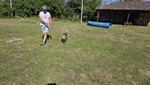20260614_094258