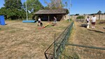 20260705_094156