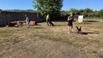 20260705_094201