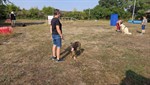 20260719_094602