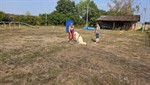 20260719_094605