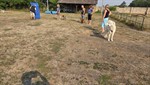 20260726_093907