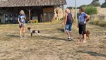20260726_093917