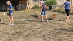 20260726_093926