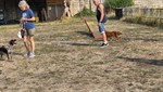20260726_093928