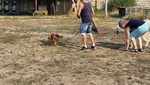 20260726_093934