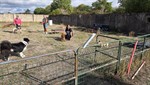 20260830_095246