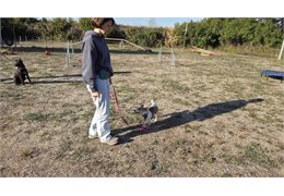 20260927_094415(0)