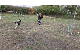 20261018_094017(0)