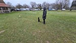 20260201_093856