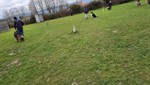 20260215_093649