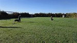 20260301_094425