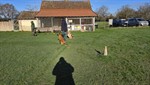 20260301_094434