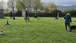 20260419_093308