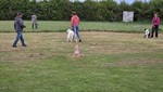 20260503_095303