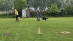 20260510_093831