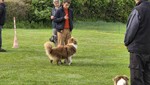20260517_093838