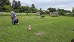 20260531_093727