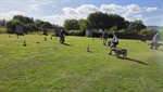 20260607_093607