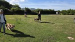 20260607_093630