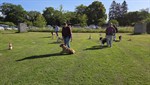 20260607_093646