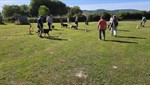 20260614_093828