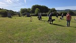 20260614_093831