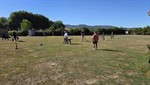 20260705_093723