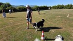 20260705_093743