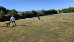 20260705_093754