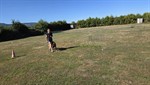 20260705_093757