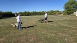 20260705_093811