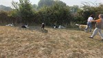 20260726_100603
