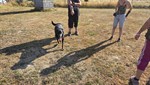 20260802_092500