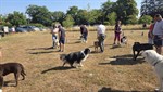 20260802_101248