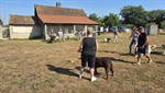20260802_101251