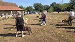 20260802_101254