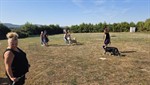 20260802_101325