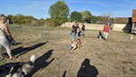 20260913_093756